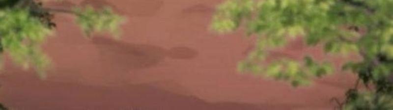 Mạt Thế Hậu Cần Chap 54 - Next Chap 55