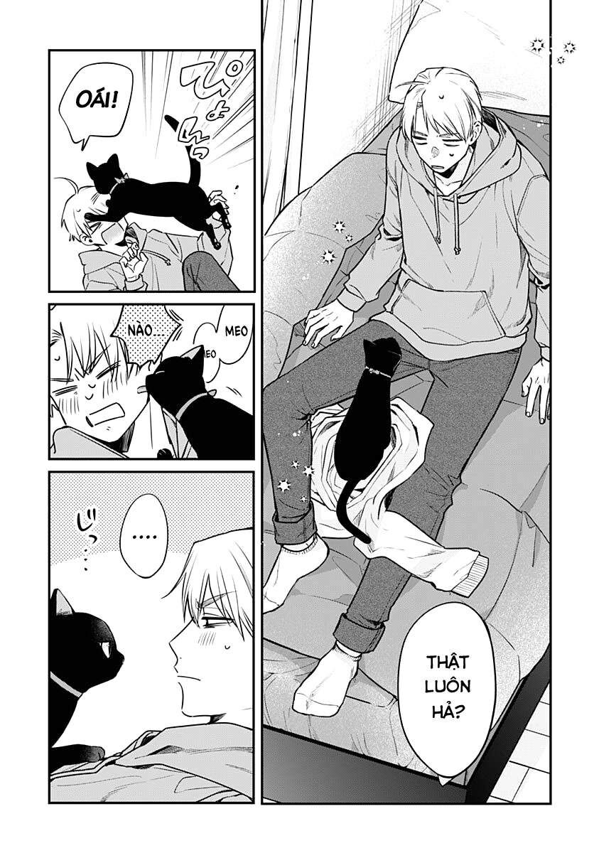 Mii-Chan Muốn Được Nhận Nuôi! Chap 2 - Next Chap 3