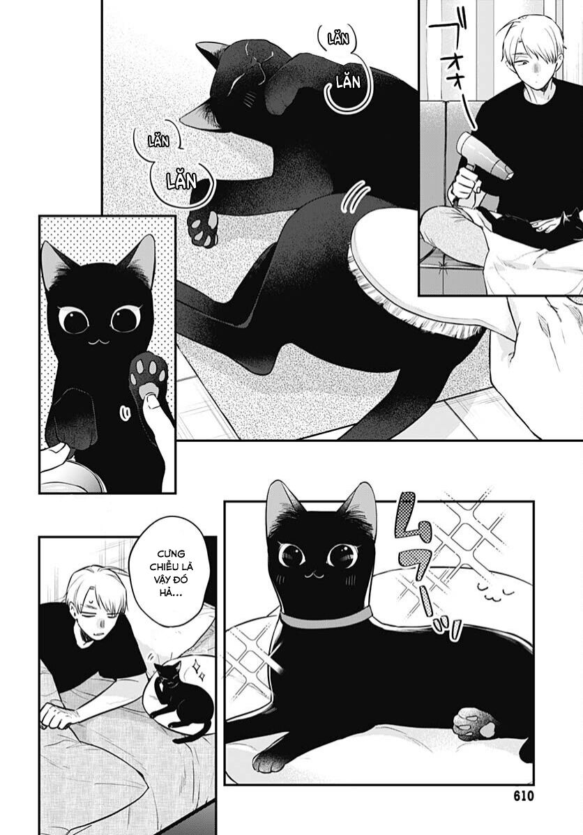 Mii-Chan Muốn Được Nhận Nuôi! Chap 20 - Next Chap 21