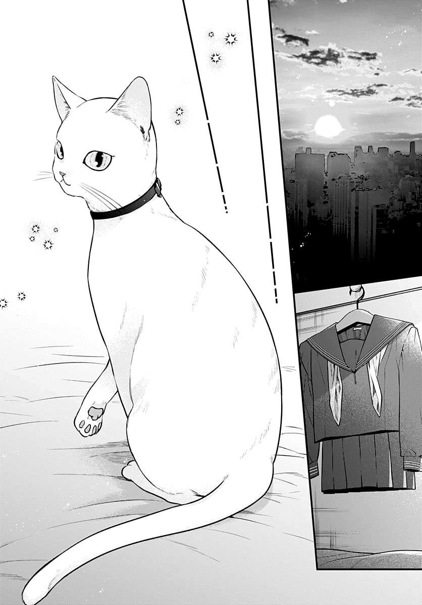 Mii-Chan Muốn Được Nhận Nuôi! Chap 8 - Next Chap 9