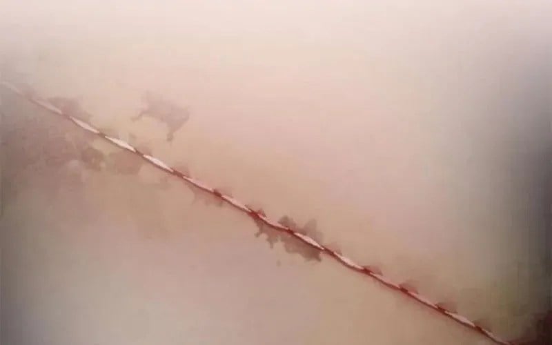 Một Anh Hùng Giỏi Mọi Thứ Chap 59 - Next Chap 60