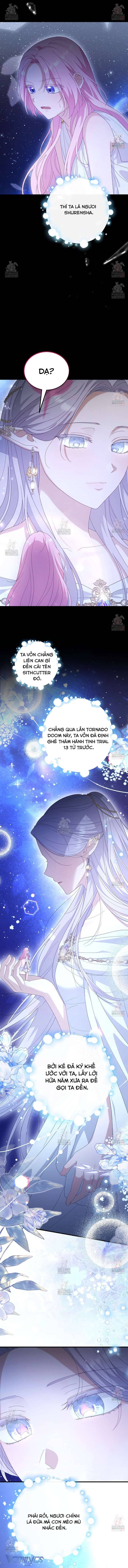 Nàng Tiên, Hãy Ký Hợp Đồng Nào Chap 68 - Next Chap 69