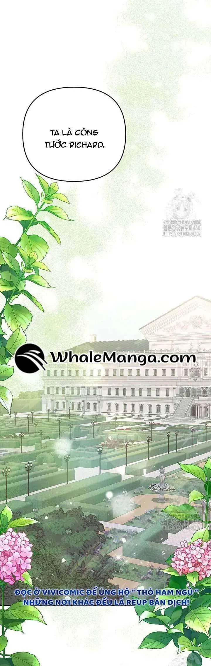 Nàng Vịt Chờ Ngày Hủy Hôn Chap 12 - Next Chap 13