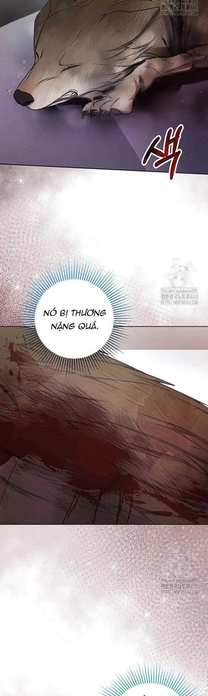 Nàng Vịt Chờ Ngày Hủy Hôn Chap 15 - Next Chap 16