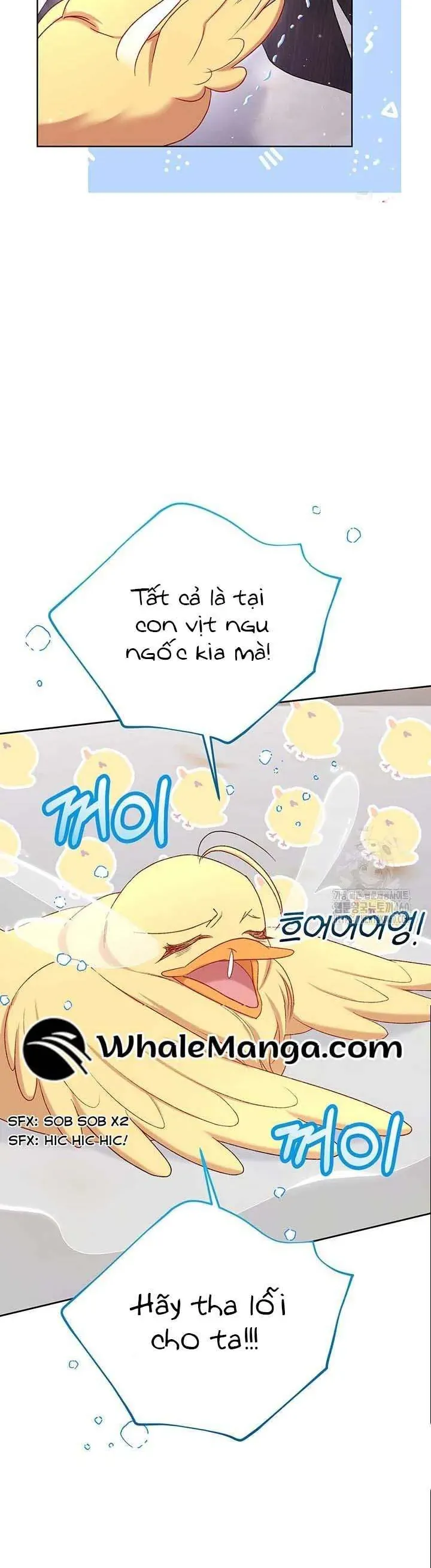 Nàng Vịt Chờ Ngày Hủy Hôn Chap 15 - Next Chap 16
