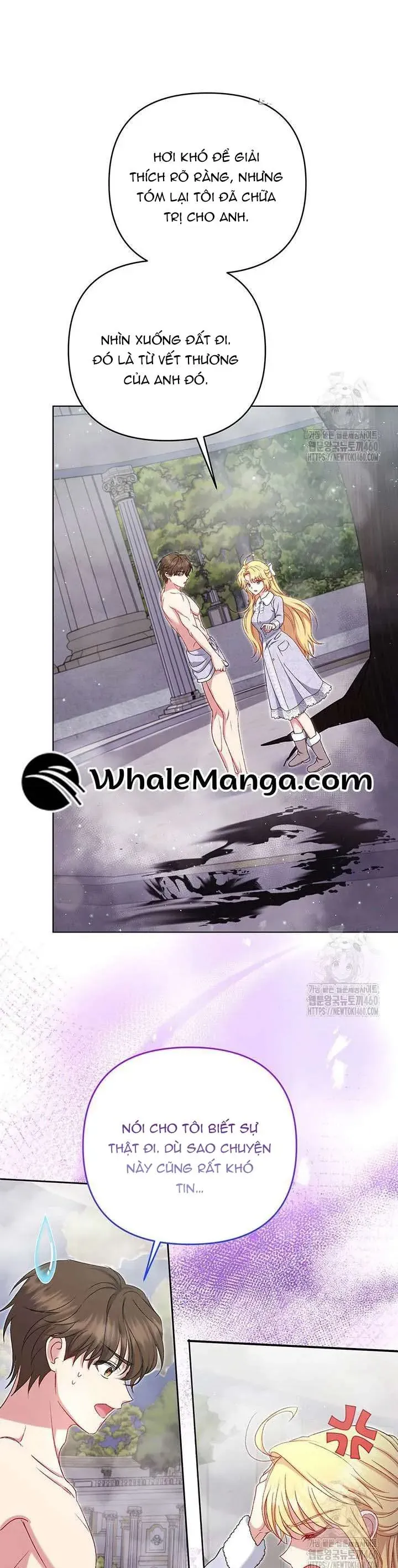 Nàng Vịt Chờ Ngày Hủy Hôn Chap 16 - Next Chap 17