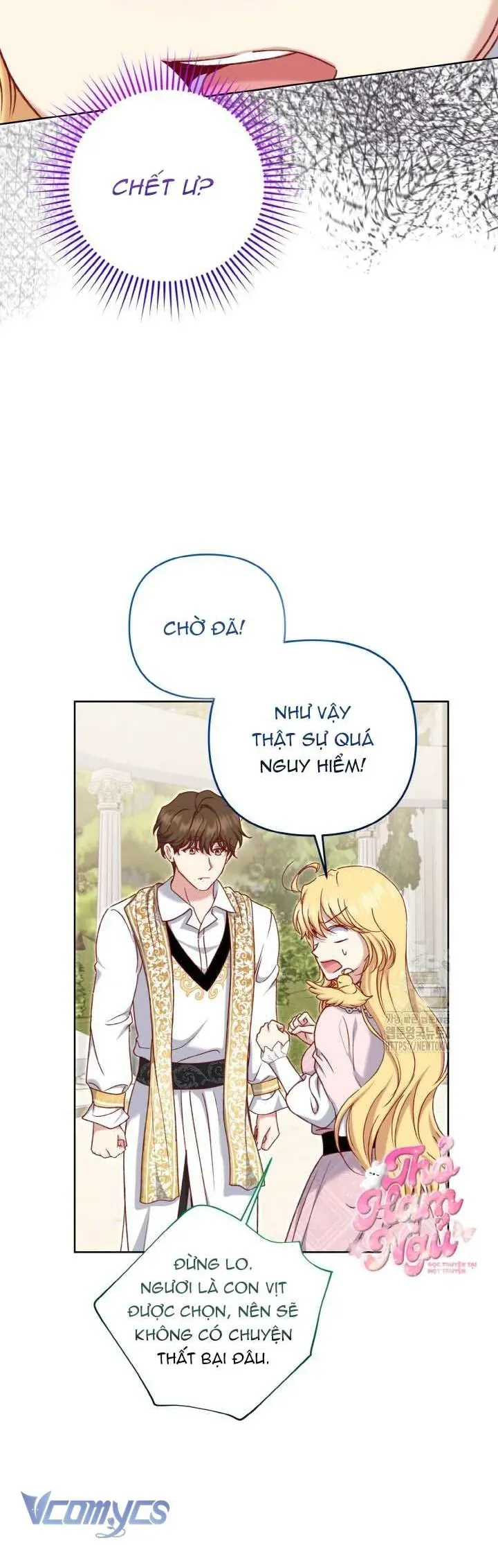 Nàng Vịt Chờ Ngày Hủy Hôn Chap 24 - Next Chap 25