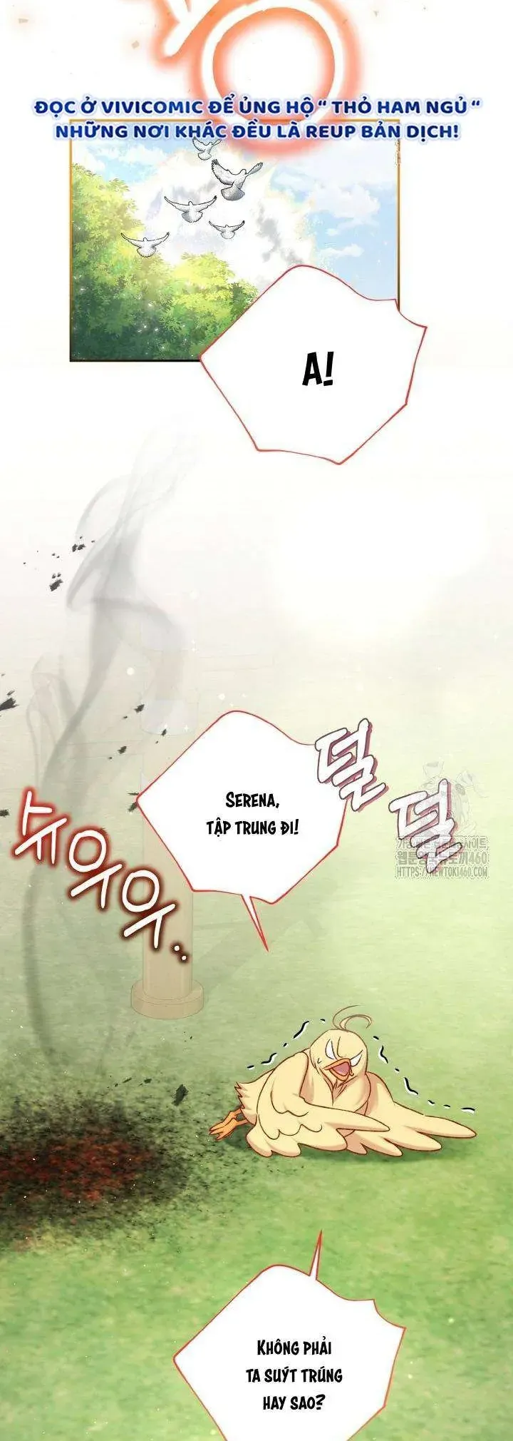 Nàng Vịt Chờ Ngày Hủy Hôn Chap 28 - Next Chap 29