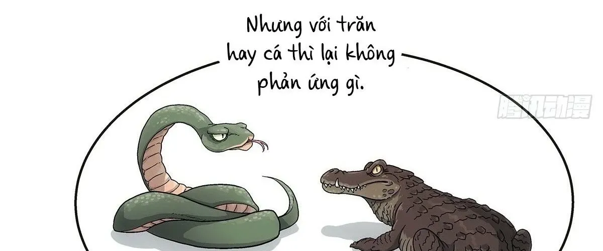 Ngã Dục Phong Thiên (Remake) Chap 4 - Next Chap 5