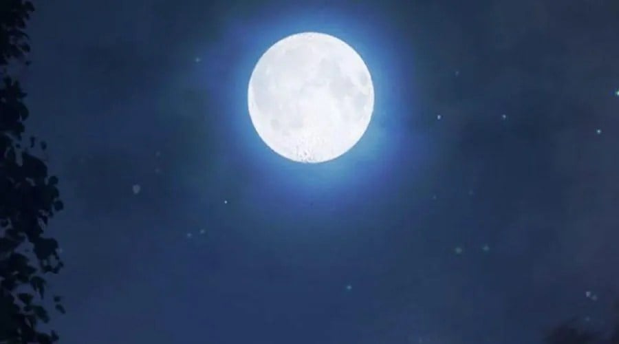 Nhà Tù Vị Thành Niên Chap 69 - Next Chap 70