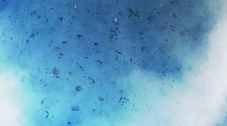 Nhà Tù Vị Thành Niên Chap 72 - Next Chap 73