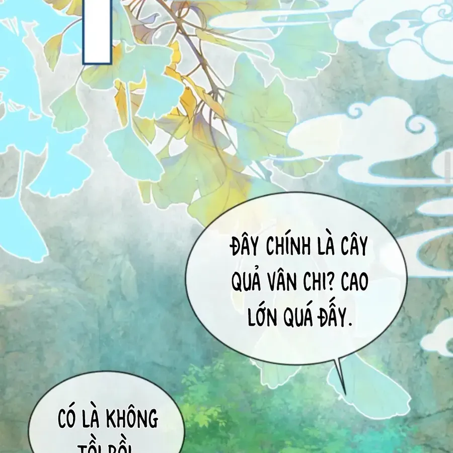 Nhập Hải Chap 15 - Next Chap 16