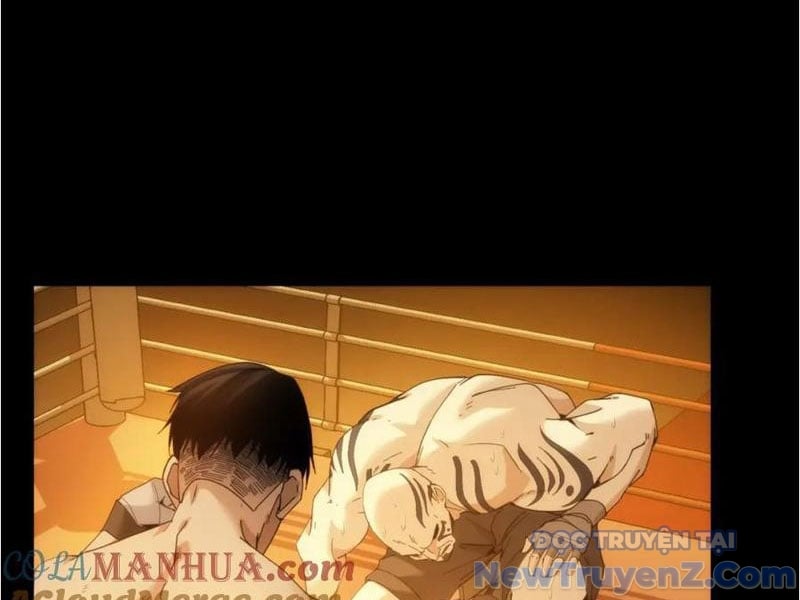 Nhất Ký Trọng Quyền Chap 23 - Next Chap 24