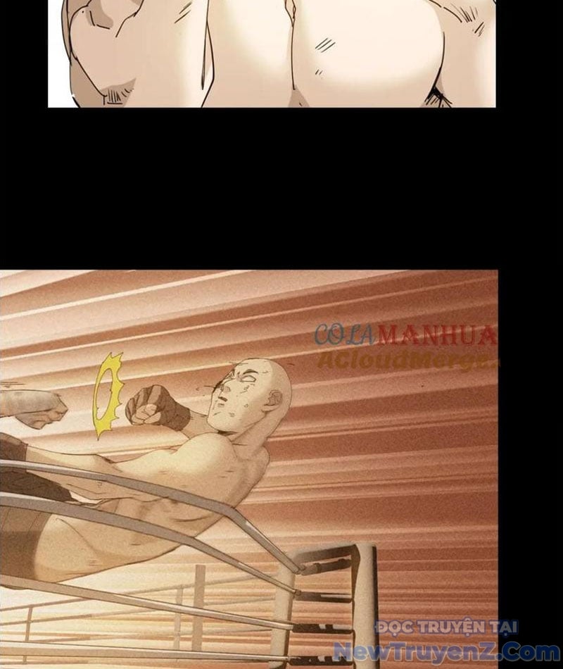 Nhất Ký Trọng Quyền Chap 26 - Next Chap 27