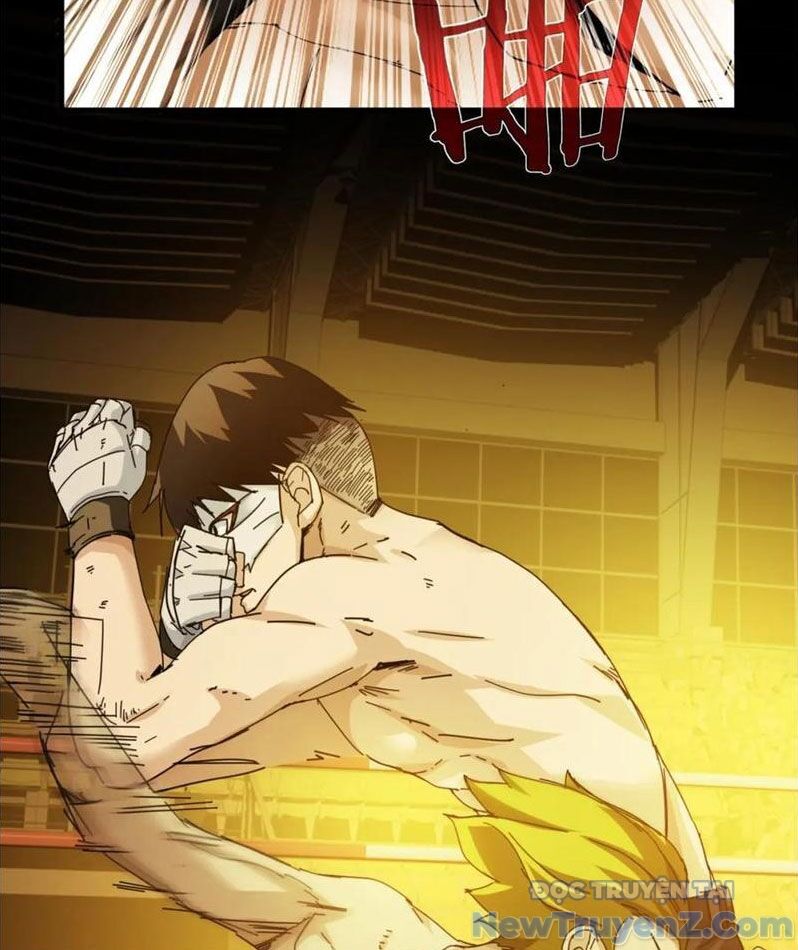 Nhất Ký Trọng Quyền Chap 28 - Next Chap 29