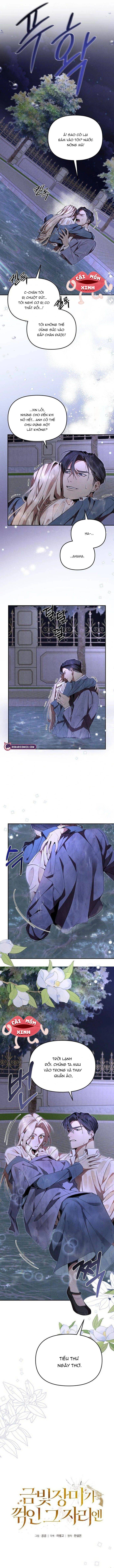 Nơi Đóa Hồng Vàng Úa Tàn Chap 3 - Next Chap 4