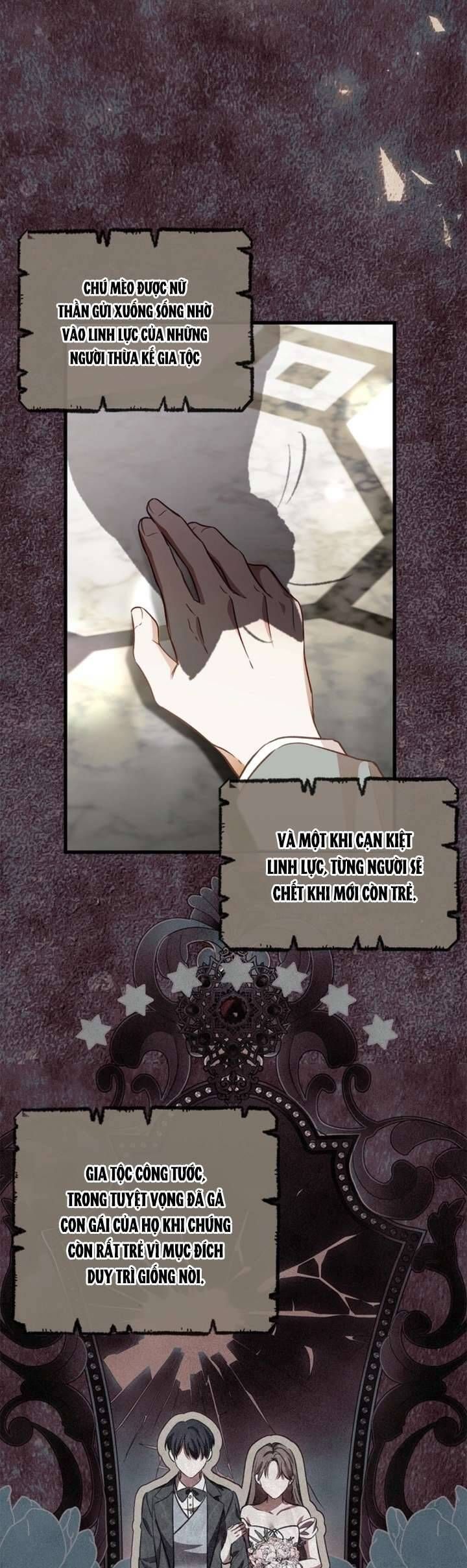 Nữ Bá Tước Bỏ Trốn Đã Quay Trở Lại Chap 5 - Next Chap 6