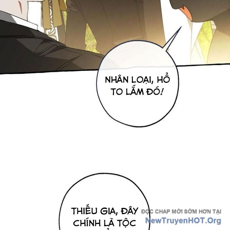 Phế Vật Dòng Dõi Bá Tước Chap 163 - Next Chap 164