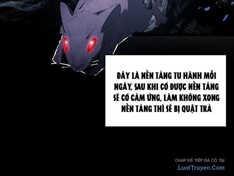 Phổ La Chi Chủ Chap 13 - Next Chap 14