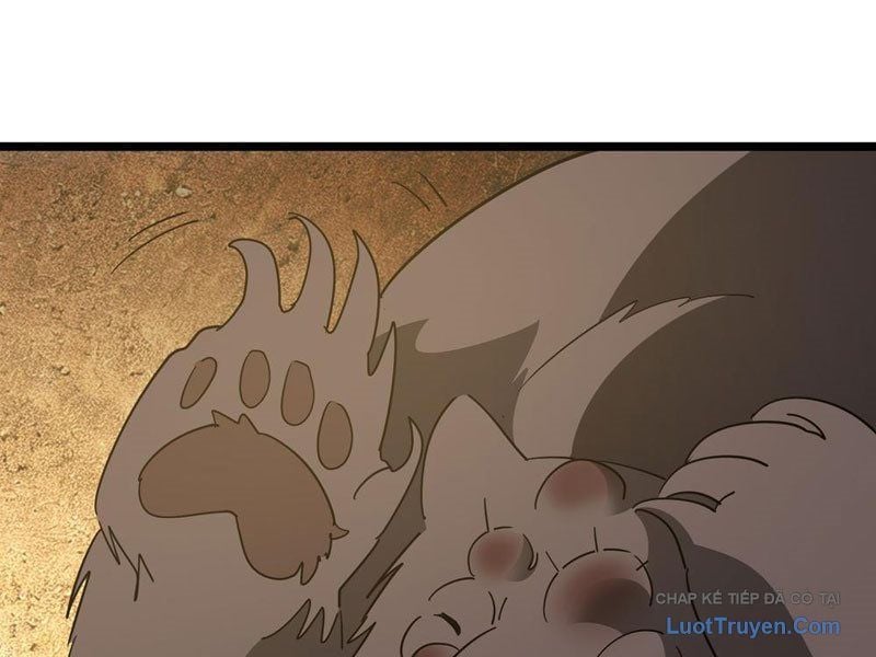 Phổ La Chi Chủ Chap 14 - Next Chap 15