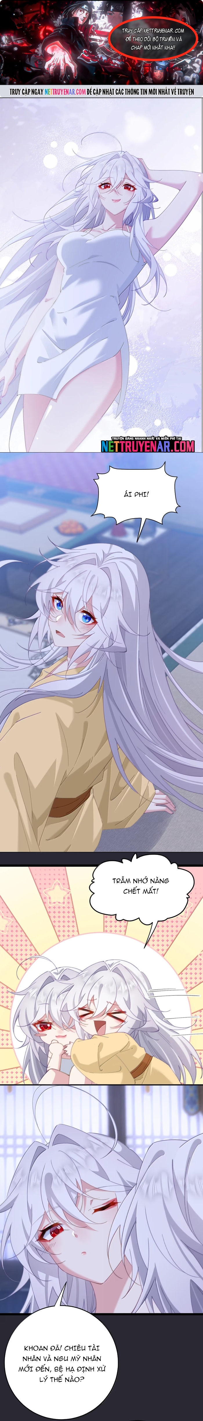 Phơi Bày Thân Phận Nữ Của Hoàng Đế Chap 68 - Next Chap 69