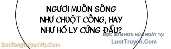 Quyền Vương Phục Sinh Chap 22 - Next Chap 23