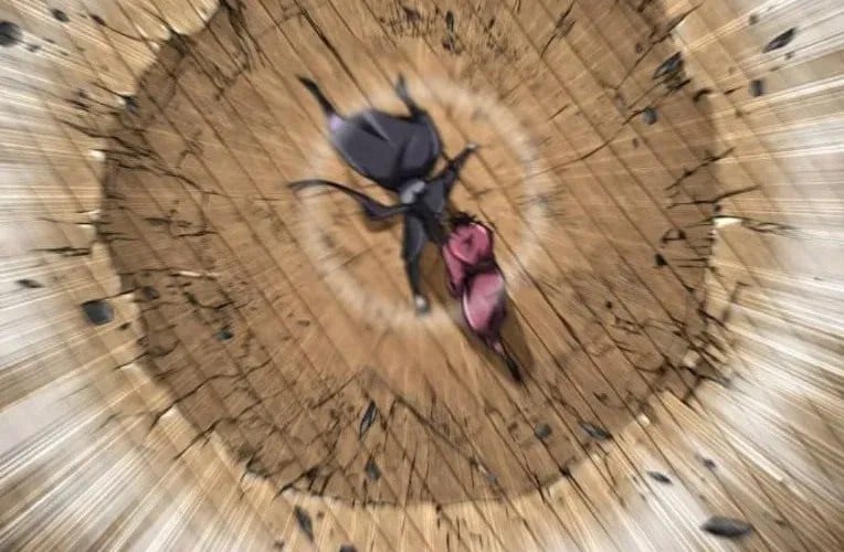 Quyền Vương Phục Sinh Chap 24 - Next Chap 25