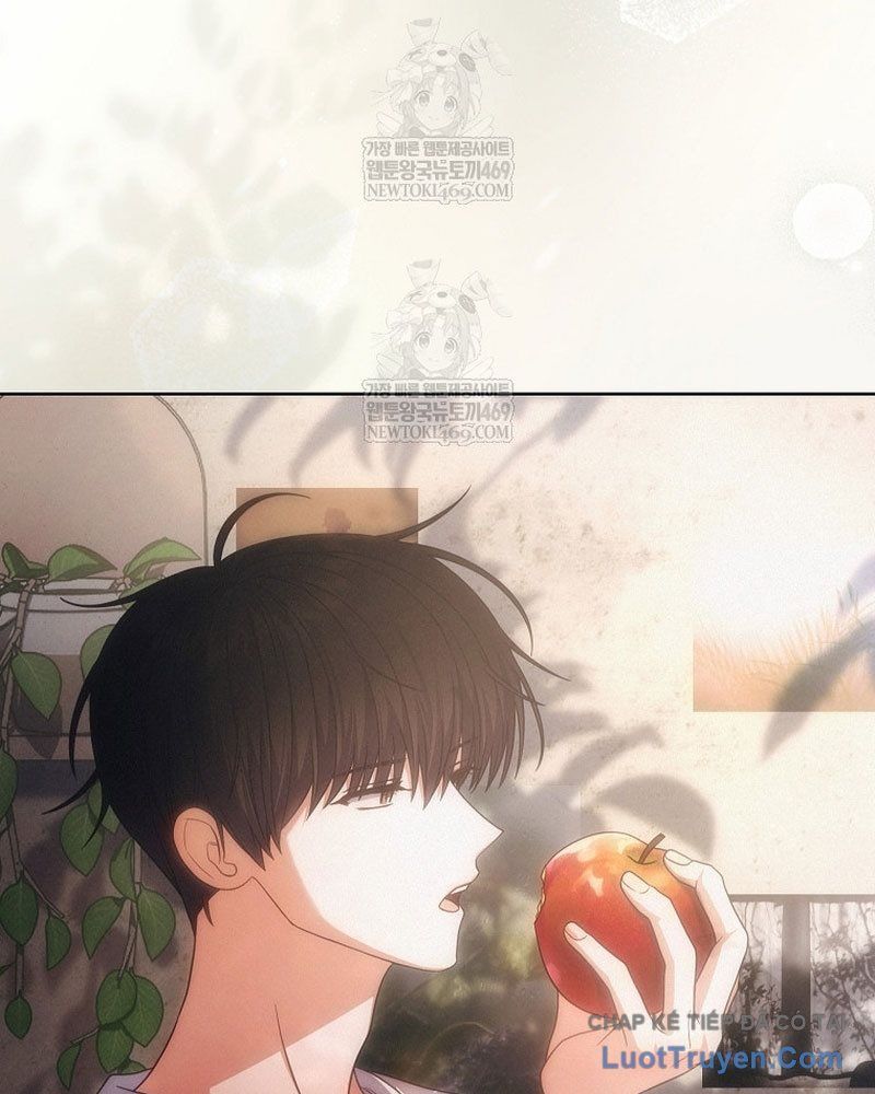 Ra Mắt Hay Ra Đi Chap 97 - Next Chap 98