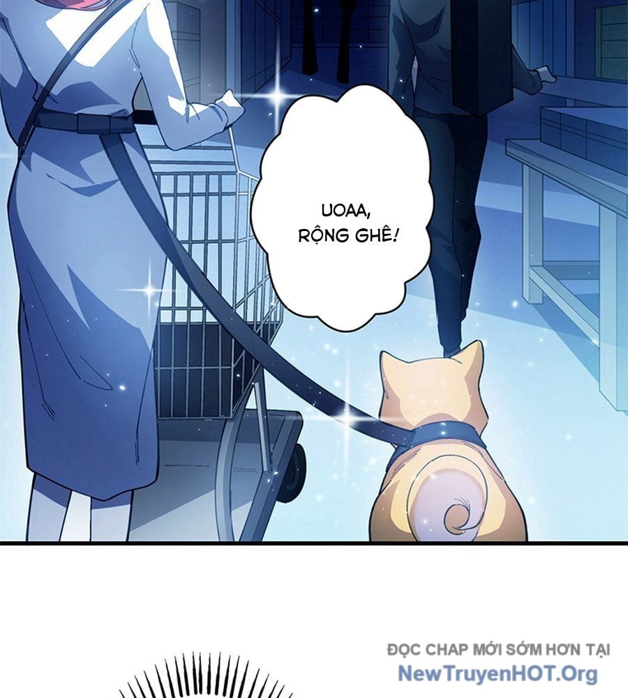 Ranker Sss Được Chọn Chap 10 - Next Chap 11