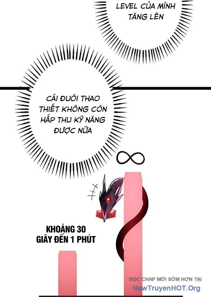 Ranker Sss Được Chọn Chap 26 - Next Chap 27