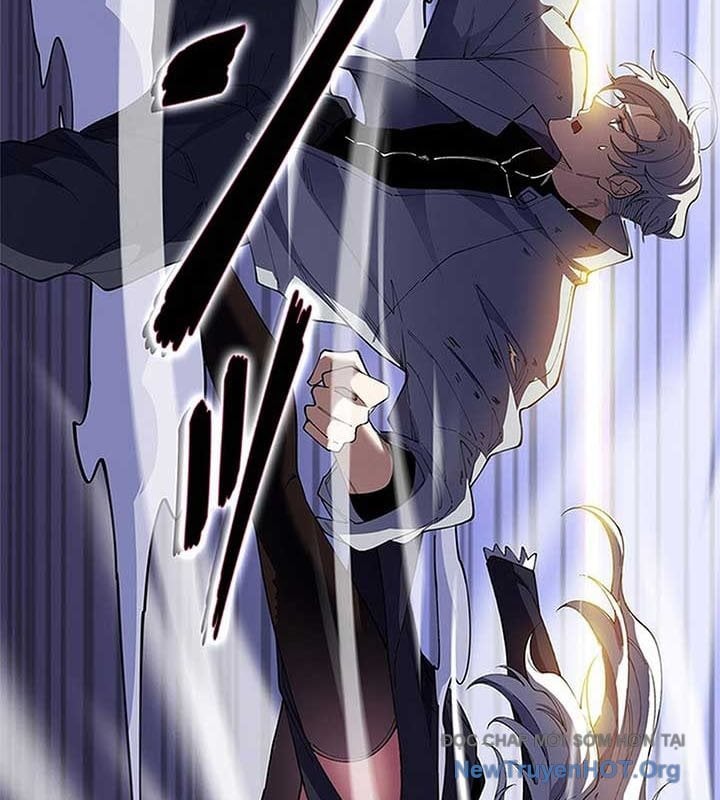 Ranker Sss Được Chọn Chap 27 - Next Chap 28