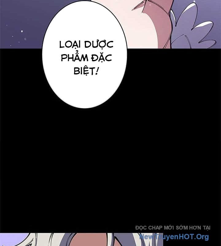Ranker Sss Được Chọn Chap 27 - Next Chap 28