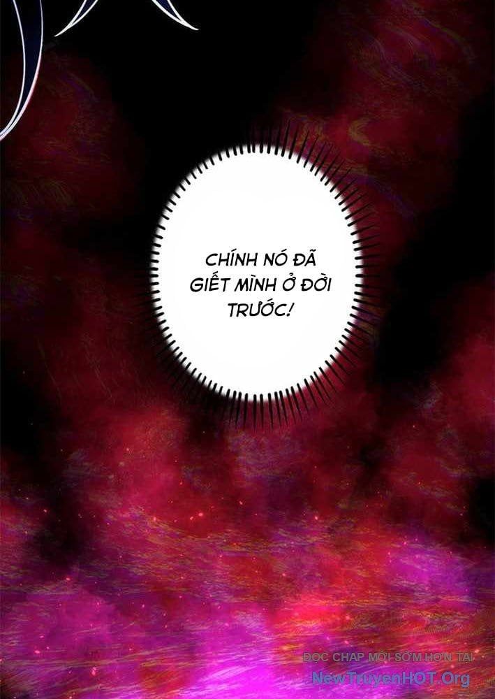 Ranker Sss Được Chọn Chap 29 - Next Chap 30