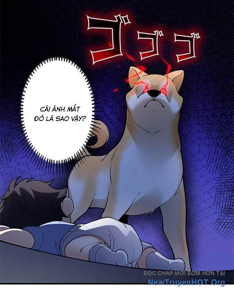 Ranker Sss Được Chọn Chap 4 - Next Chap 5