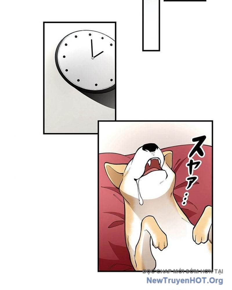 Ranker Sss Được Chọn Chap 4 - Next Chap 5