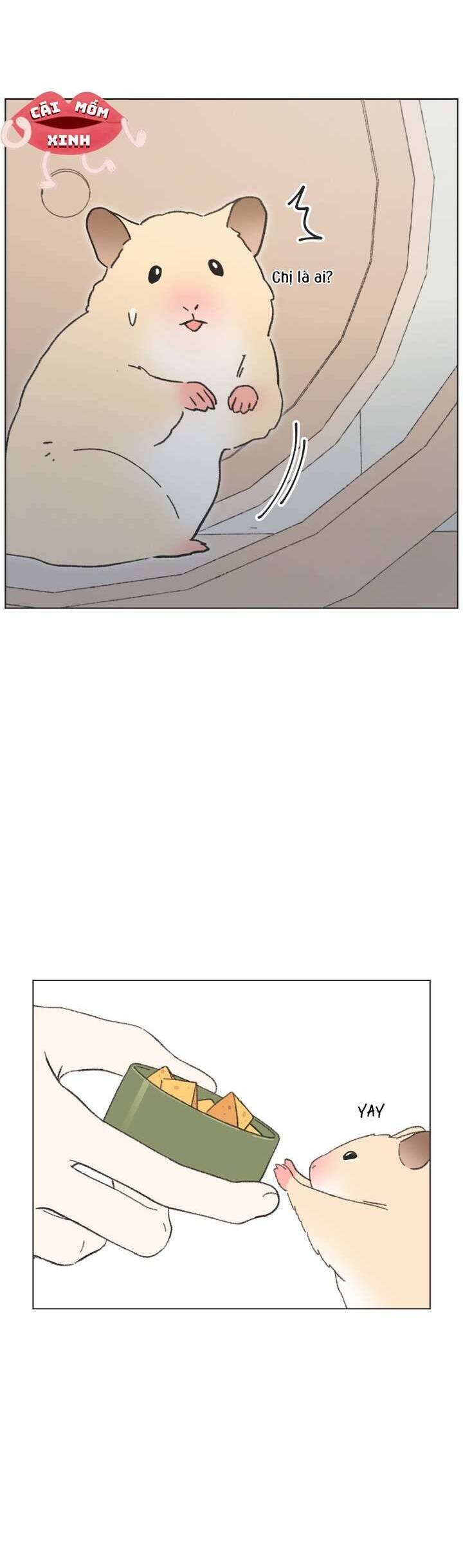 Seasons Of Lovesome Chap 40 - Next Chap 41