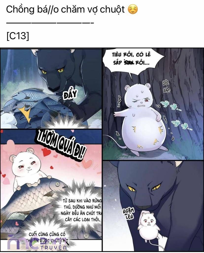 Siêu Cấp Cưng Chiều Chap 22 - Next Chap 23