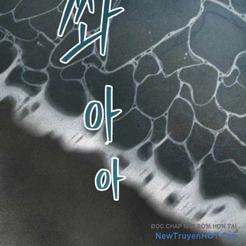 Sự Bí Ẩn Của Học Sinh Chuyển Trường Chap 17 - Next Chap 18