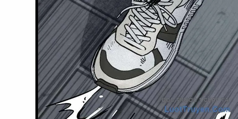 Sự Bí Ẩn Của Học Sinh Chuyển Trường Chap 22 - Next Chap 23