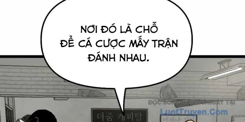Sự Bí Ẩn Của Học Sinh Chuyển Trường Chap 24 - Next Chap 25