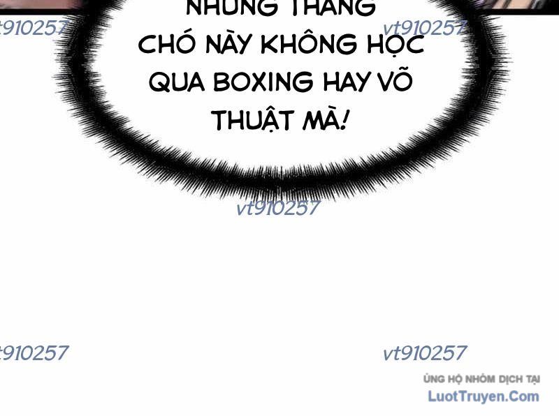 Sự Bí Ẩn Của Học Sinh Chuyển Trường Chap 28 - Next Chap 29