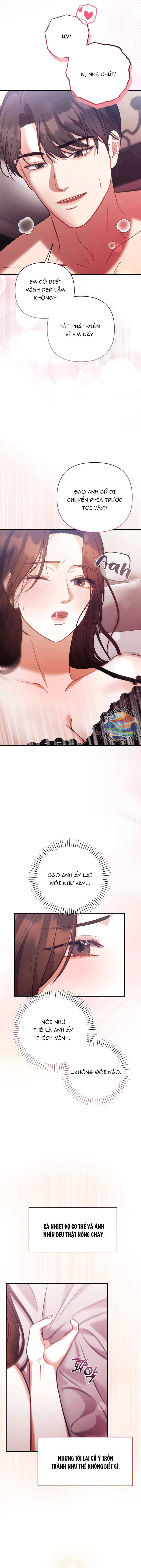 Sự Hối Tiếc Muộn Màng Chap 2 - Next Chap 3