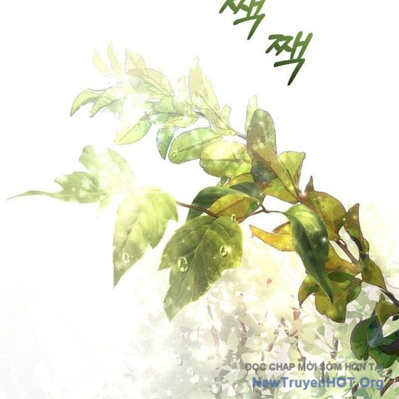 Sự Ra Đời Của Một Anh Hùng Chap 163 - Next Chap 164