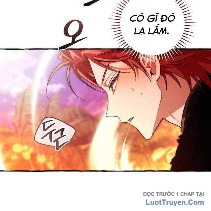 Sự Ra Đời Của Một Anh Hùng Chap 165 - Next Chap 166