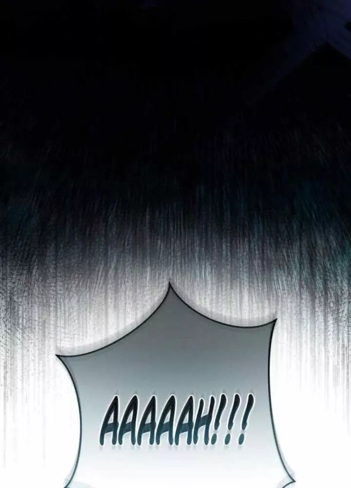 Sự Ra Đời Của Một Anh Hùng Chap 166 - Next Chap 167