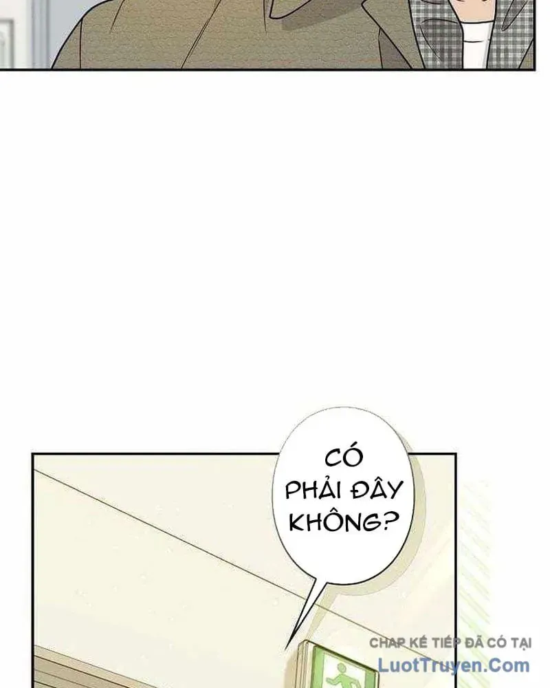 Sự Tái Sinh Của Nhà Thiết Kế Tài Ba Chap 50 - Next Chap 51