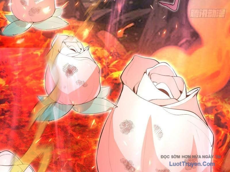 Ta Dựa Vào Hậu Cung Chinh Phục Thế Giới Chap 78 - Next Chap 79