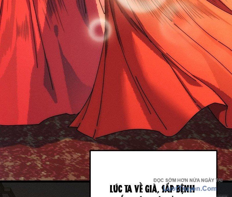 Ta Mô Phỏng Con Đường Trường Sinh Chap 1 - Next Chap 2