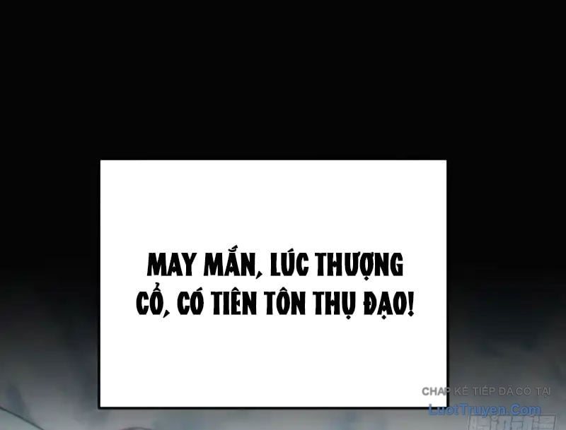 Ta Mô Phỏng Con Đường Trường Sinh Chap 23 - Next Chap 24