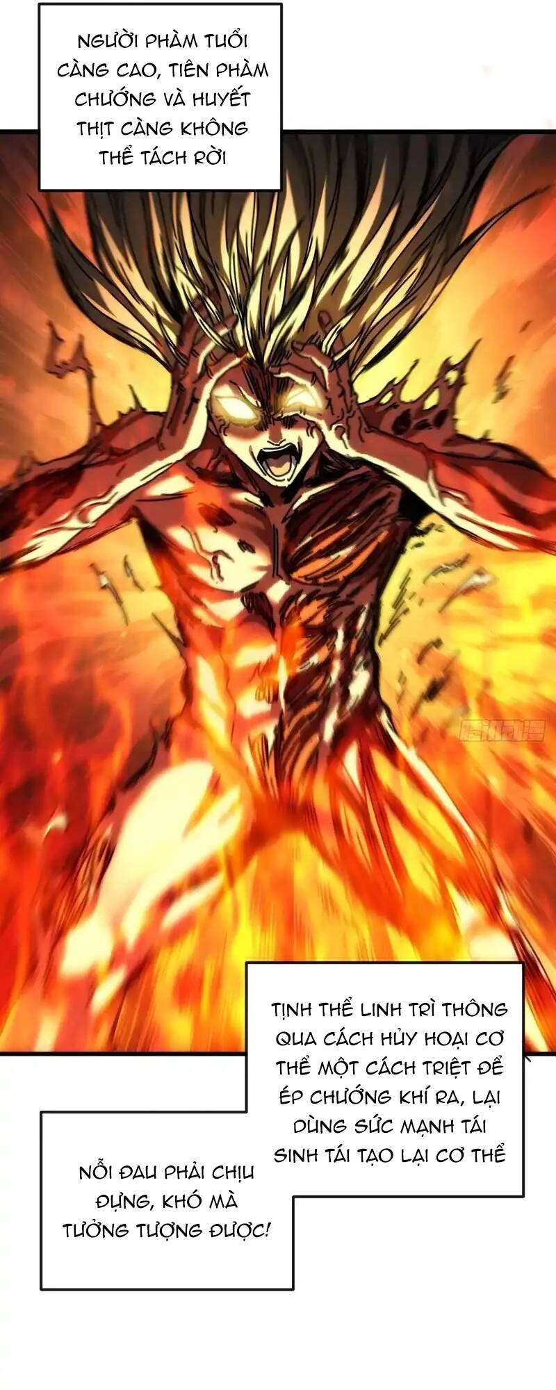 Ta Mô Phỏng Trường Sinh Lộ Chap 22 - Next Chap 23